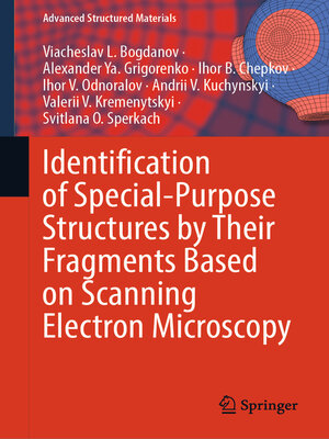 cover image of Identification of Special-Purpose Structures by Their Fragments Based on Scanning Electron Microscopy